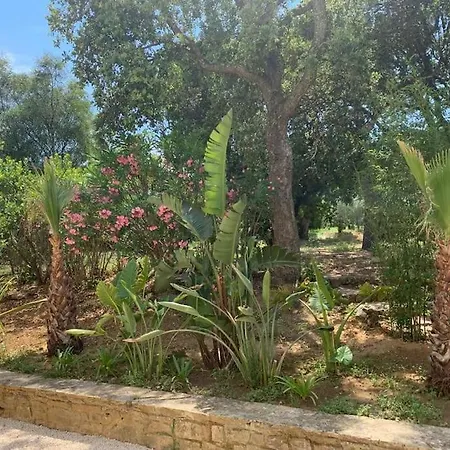 Carioca St Tropez * סן טרופז